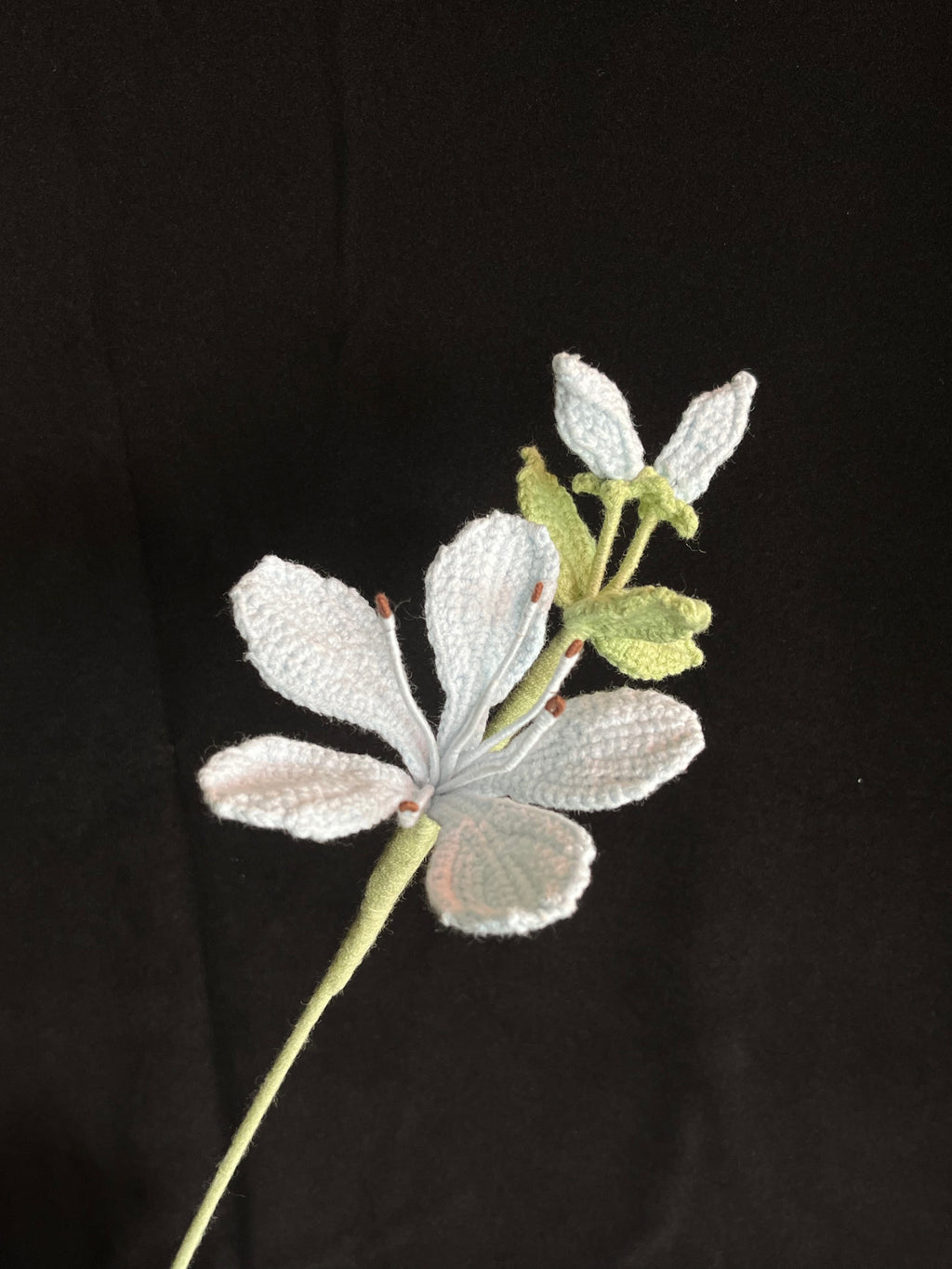 Handgemaakte Gehaakte Jasmijn | Eeuwige Bloem | Gehaakte Bloem | Cadeau & Woondecoratie