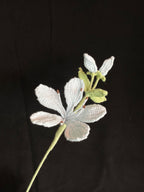 Handgemaakte Gehaakte Jasmijn | Eeuwige Bloem | Gehaakte Bloem | Cadeau & Woondecoratie