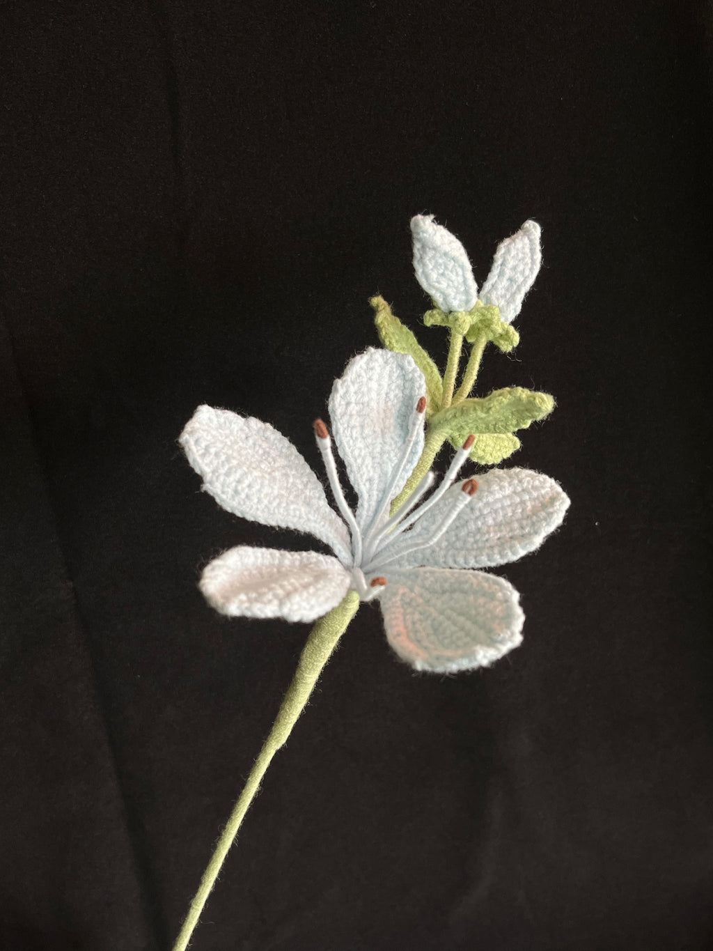 Handgemaakte Gehaakte Jasmijn | Eeuwige Bloem | Gehaakte Bloem | Cadeau & Woondecoratie