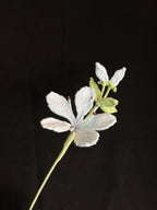 Handgemaakte Gehaakte Jasmijn | Eeuwige Bloem | Gehaakte Bloem | Cadeau & Woondecoratie