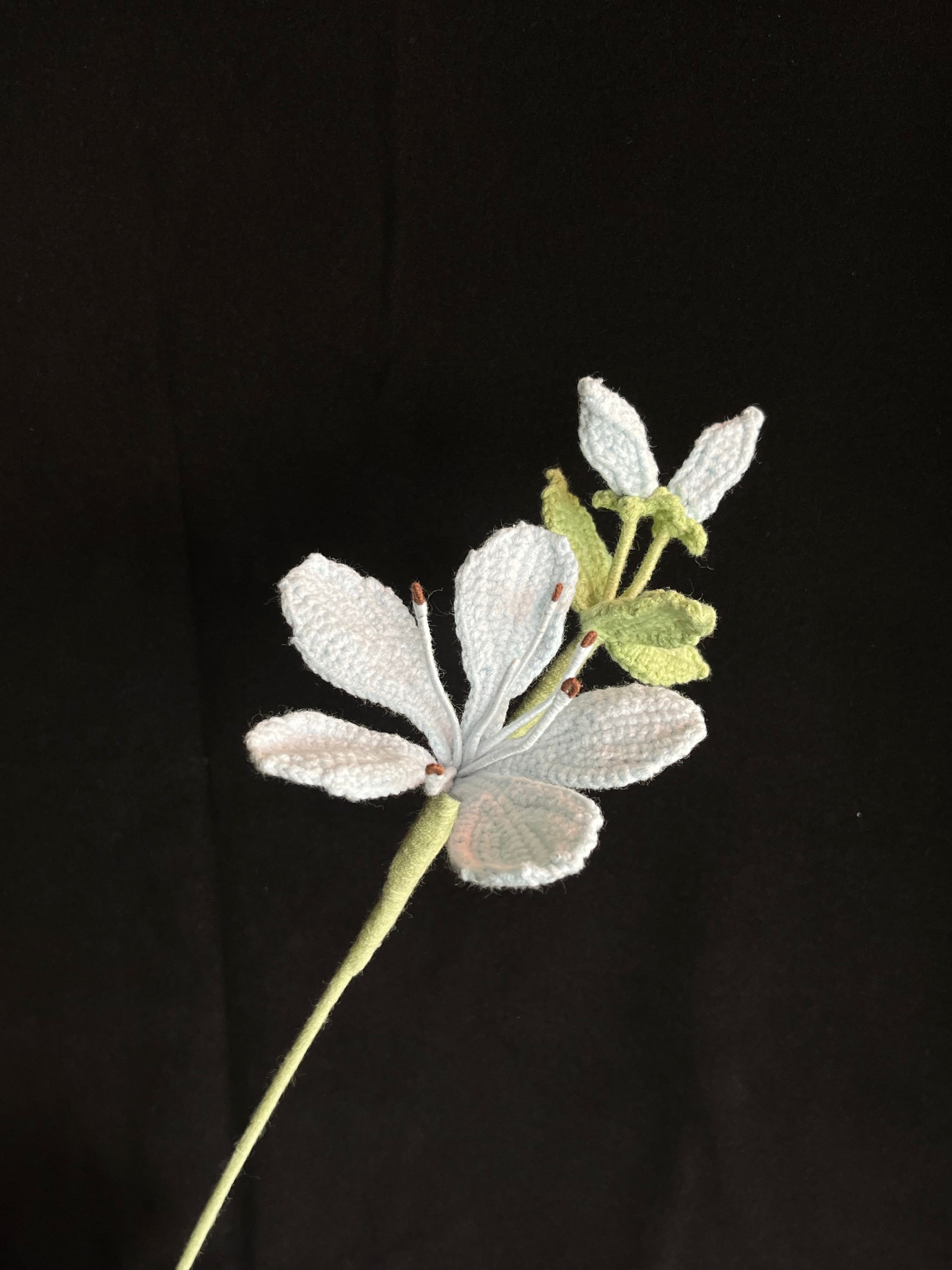 Handgemaakte Gehaakte Jasmijn | Eeuwige Bloem | Gehaakte Bloem | Cadeau & Woondecoratie