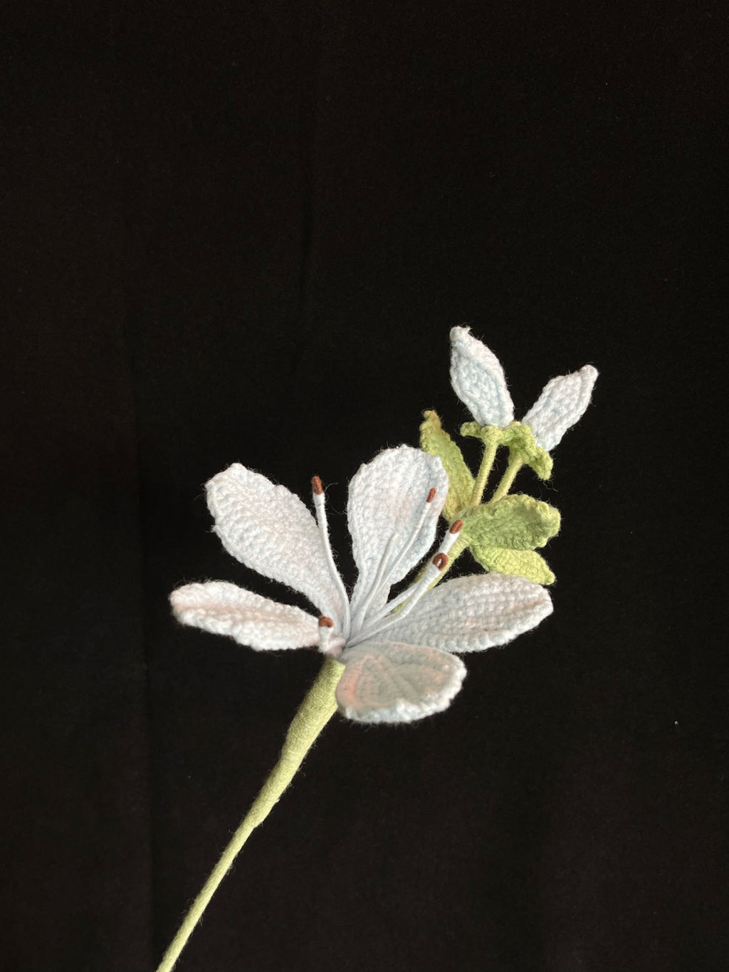 Handgemaakte Gehaakte Jasmijn | Eeuwige Bloem | Gehaakte Bloem | Cadeau & Woondecoratie