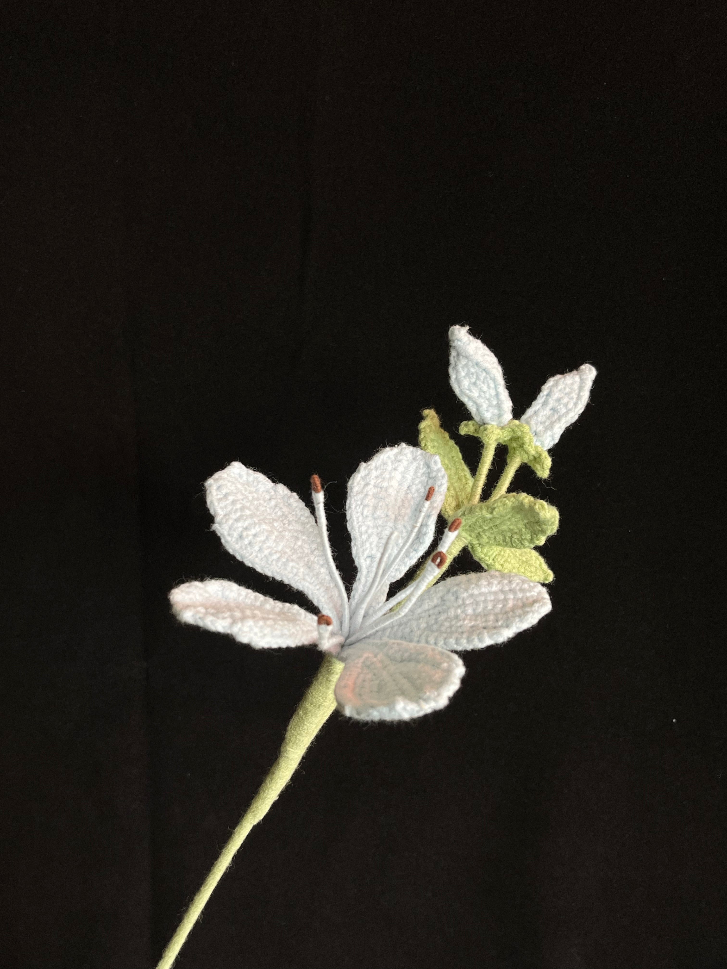 Handgemaakte Gehaakte Jasmijn | Eeuwige Bloem | Gehaakte Bloem | Cadeau & Woondecoratie
