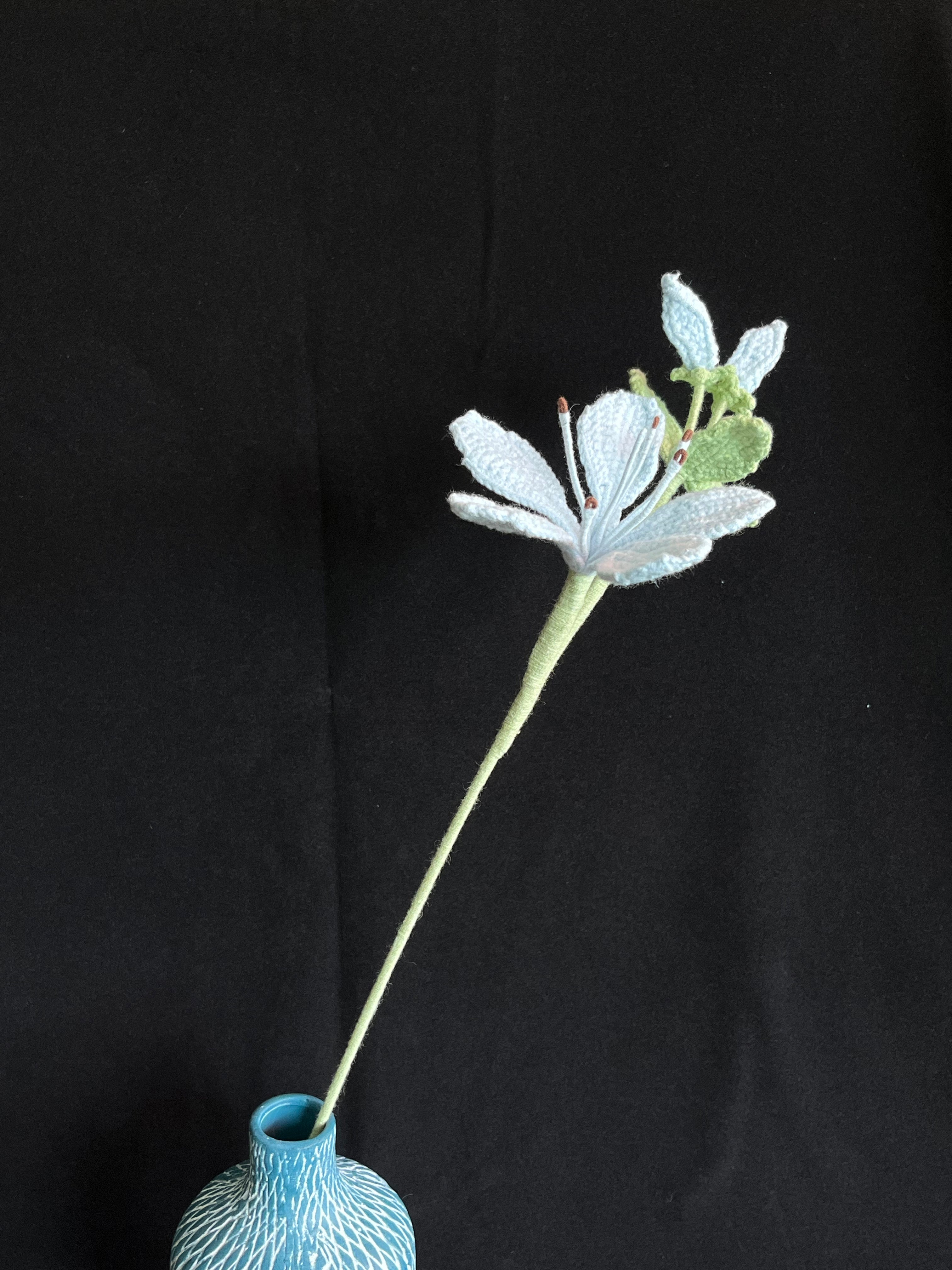 Handgemaakte Gehaakte Jasmijn | Eeuwige Bloem | Gehaakte Bloem | Cadeau & Woondecoratie