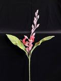 🌿 Gehaakte Heliconia – Handgemaakte Tropische Bloem