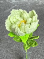 Handgehaakte bloem – fris groen & verfijnd