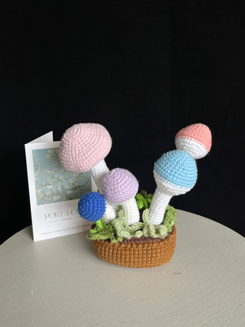 Handgehaakte paddenstoel decoratie – schattig & kleurrijk 🍄✨