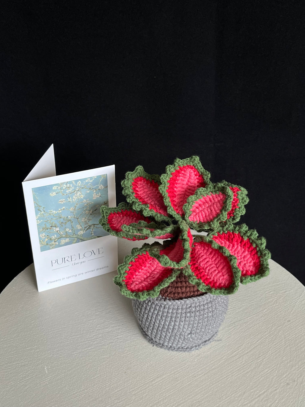Handgehaakte kleurrijke sierplant in pot – onderhoudsvrije woondecoratie 🌿❤️