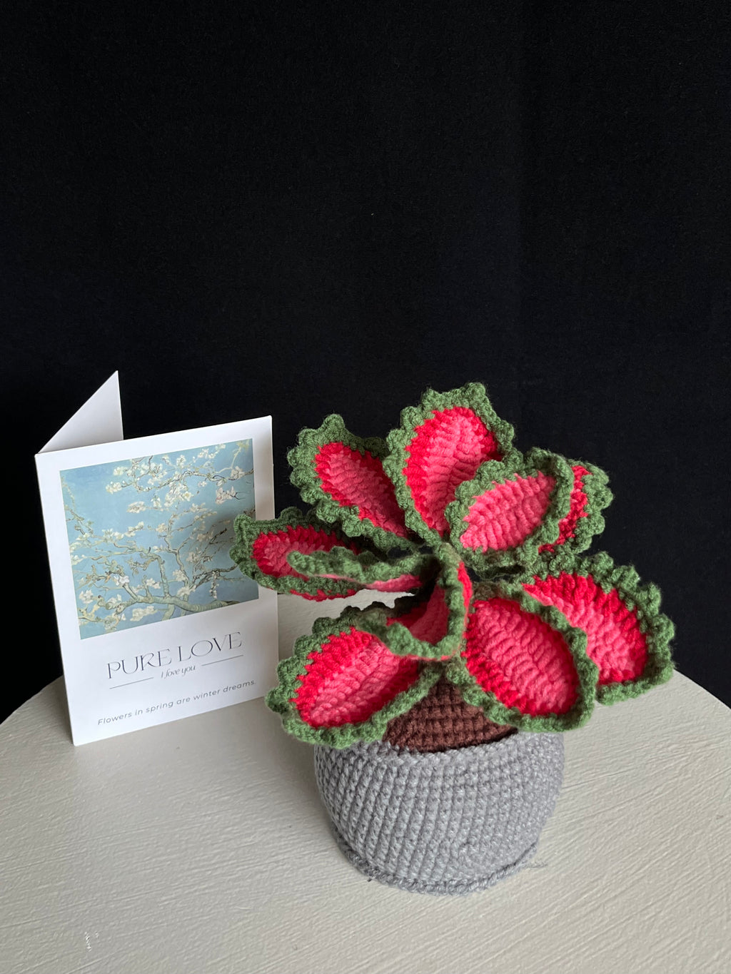 Handgehaakte kleurrijke sierplant in pot – onderhoudsvrije woondecoratie 🌿❤️