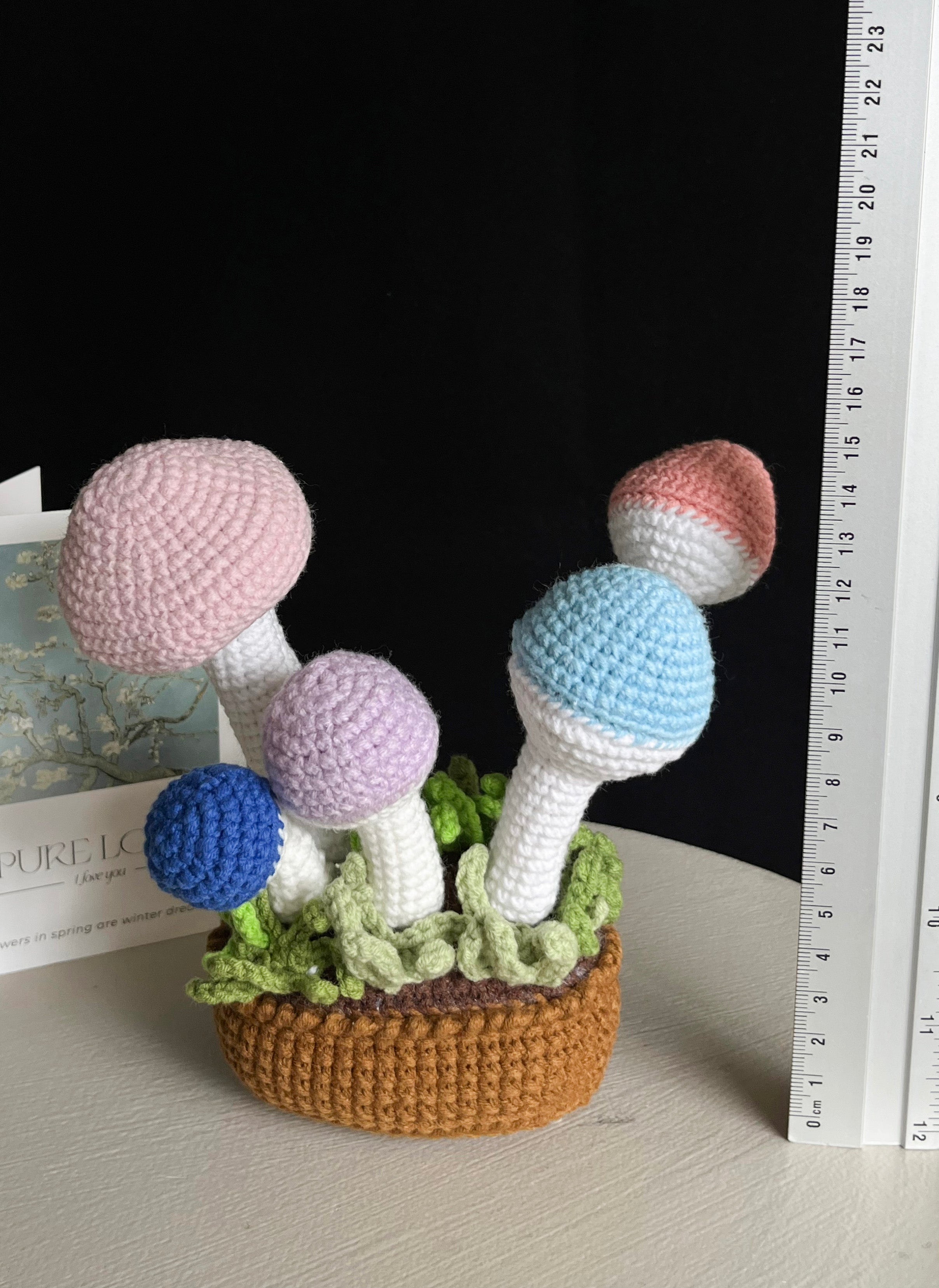 Handgehaakte paddenstoel decoratie – schattig & kleurrijk 🍄✨