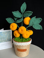 🍊 Gehaakte Sinaasappelboom in Pot – Handgemaakte Decoratie