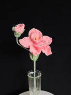 🌸 Gehaakte Roze Amaryllis – Handgemaakte Bloem die Altijd Bloeit